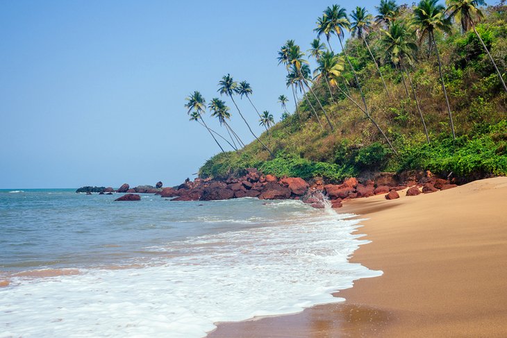 Beach Tours